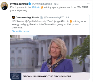 Wyoming Eyaleti Senatörü Cynthia Lummis