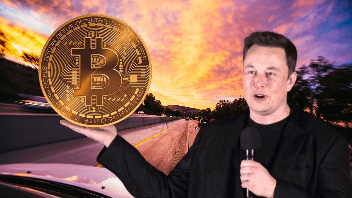 Bitcoine Elon Musk Darbes 567