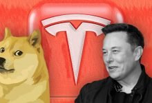 Elon Tesla Doge