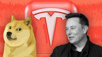 Elon Tesla Doge