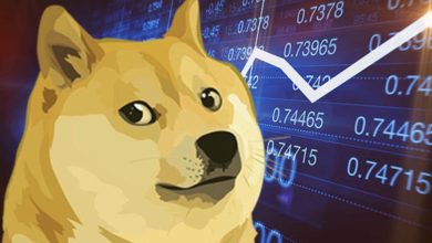 Dogecoin Yuzde 13 Yukseldi