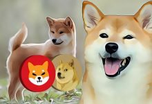 Shiba Inu Shib Dogecoin Doge Ve Baby Dogecoin Coin Turk Com 1200X900 1