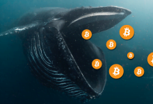 Bitcoin Whale 849X450 1