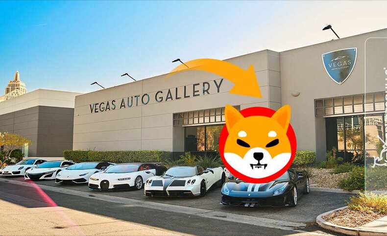 Vegas Auto Gallery Shiba Inu