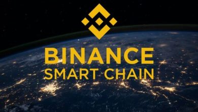 Binance Smart Chain Projeleri