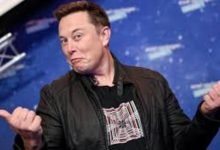 Elon Musk Kripto Para