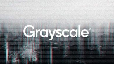 Grayscale Metaverse