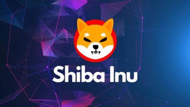 Shiba Inu Games