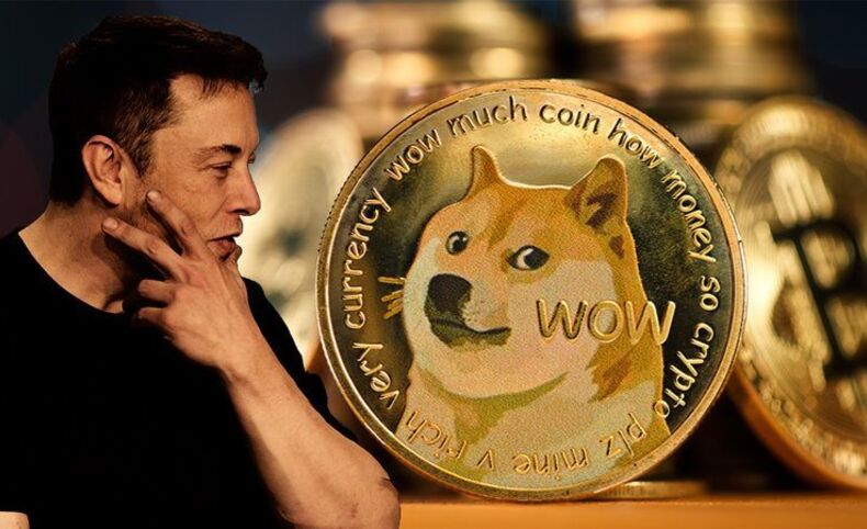 Elon Muskin Mcdonalds Paylasimindan Sonra Doge Fiyati Yukselise Gecti