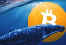 Whale Bitcoin