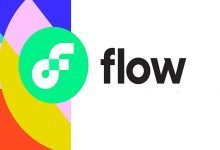 Flow Coin