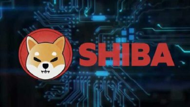 Shiba Inu ($Shib), Dolaşımdaki Arzı Azaltmak İçin Kendi Token Yakma Portalını Başlatacak