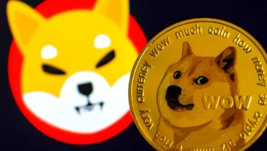 Meme Coinlerde Güncel Durum: Shiba Inu (SHIB) ve Dogecoin(DOGE)