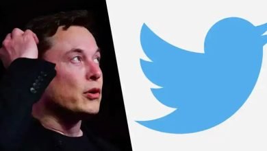 Elon Musk Twitter Hisse