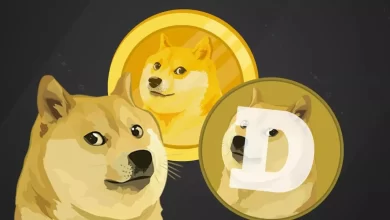 Dogecoin Geliştiricisi Billy Markus'tan DOGE'dan Ayrılma Kararı!