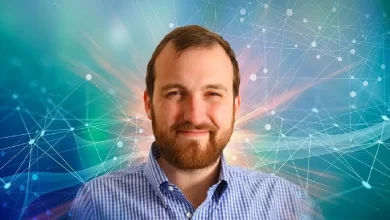 Charles Hoskinson Ceo Of Iohk Confirmed Cardano Updates Are Due To Be Rolled Out Soon