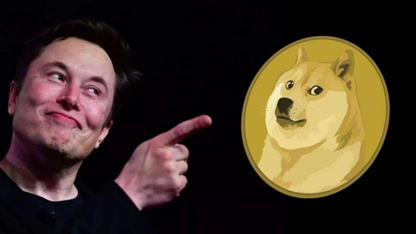 Musk Dogecoin