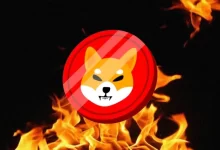 Shiba Inu Burning Is The Major Factor Triggering Its Price But For How Long