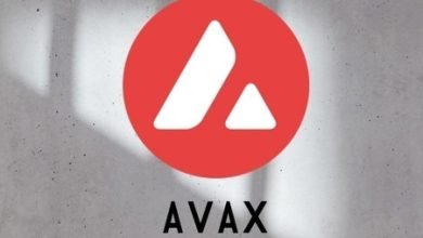 Avax Coin Avalanche Ve Tcmb Birlikte Mi Calisacak 1200X900 1