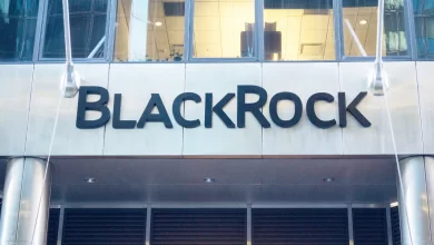 Blackrock Sec