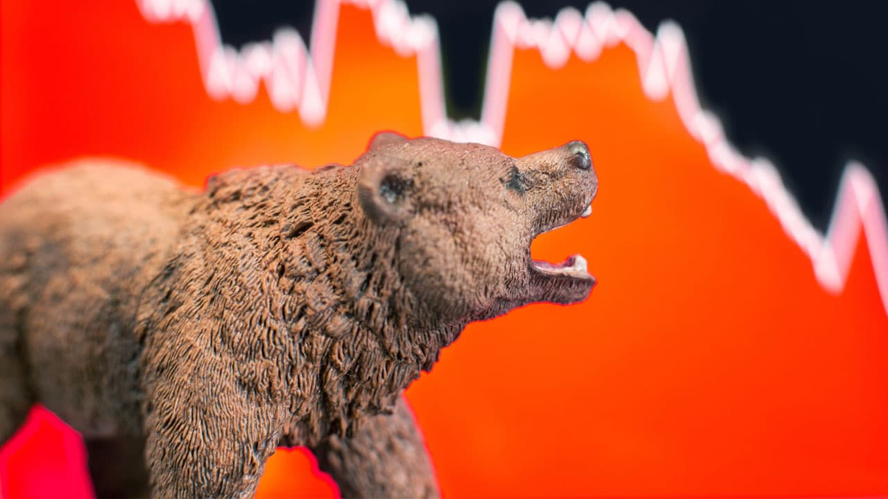 Bear Market 1