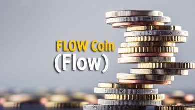 Flow Coin Flow Nedir Flow Coin Flow Yorumlari Flow Teknik Analiz Flow Duser Mi Yukselir Mi Alinir Mi Flow Coin Flow Coin Yorum Ve Grafigi H221743 5Adfc