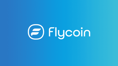 Flycoin Fall Back Image