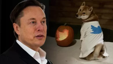 Elon Musk Dogecoin Twitter