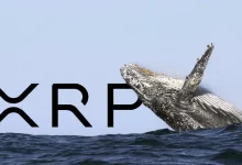Xrp'De 93 Milyon Dolarlık Transfer! Balinaların Hareketi Yatırımcıları Endişelendiriyor!