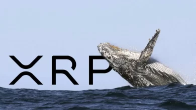 xrp'de 93 milyon dolarlık transfer! balinaların hareketi yatırımcıları endişelendiriyor!