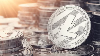 Litecoin Fiyat Ath Yukselis