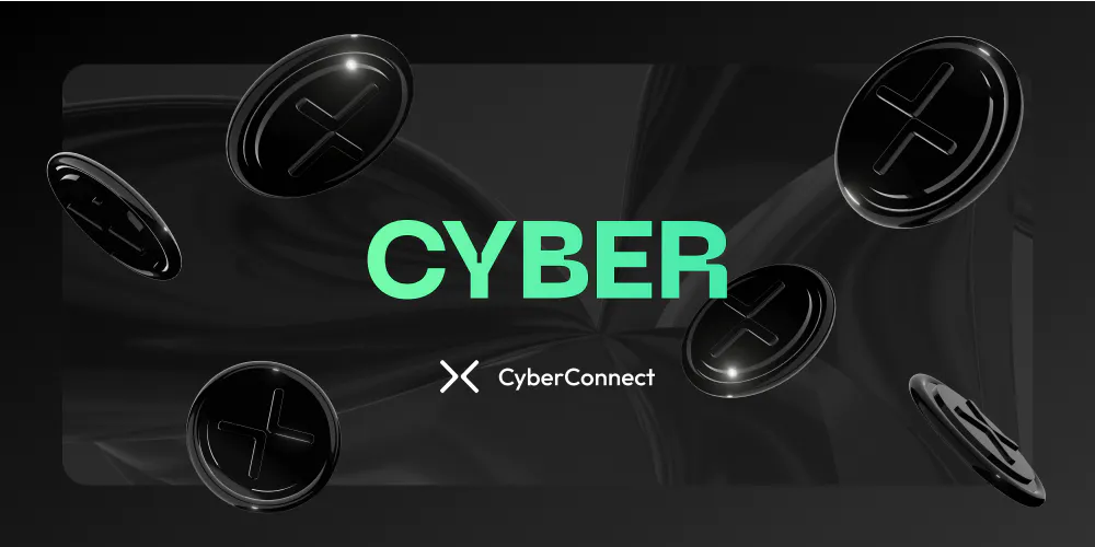 Cyberconnect Cyber La Gi