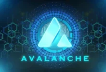 Avalanche Avax Coin