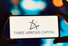 Three Arrows Capital Denetcisi 35