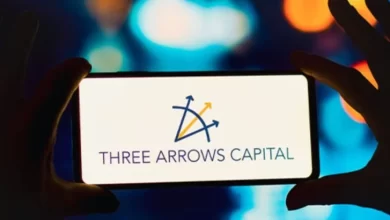 Three Arrows Capital Denetcisi 35