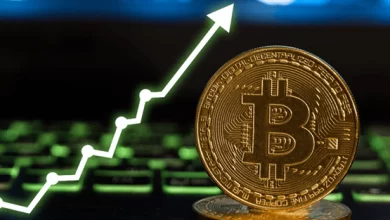 bitcoin ile ilgili iddiali cikis yeni rekor kapida h1640420384 ac3270